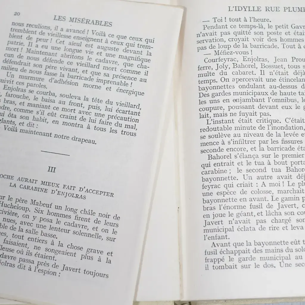 アンティークブック ヴィクトル・ユゴー フランス 古書 1930s
2