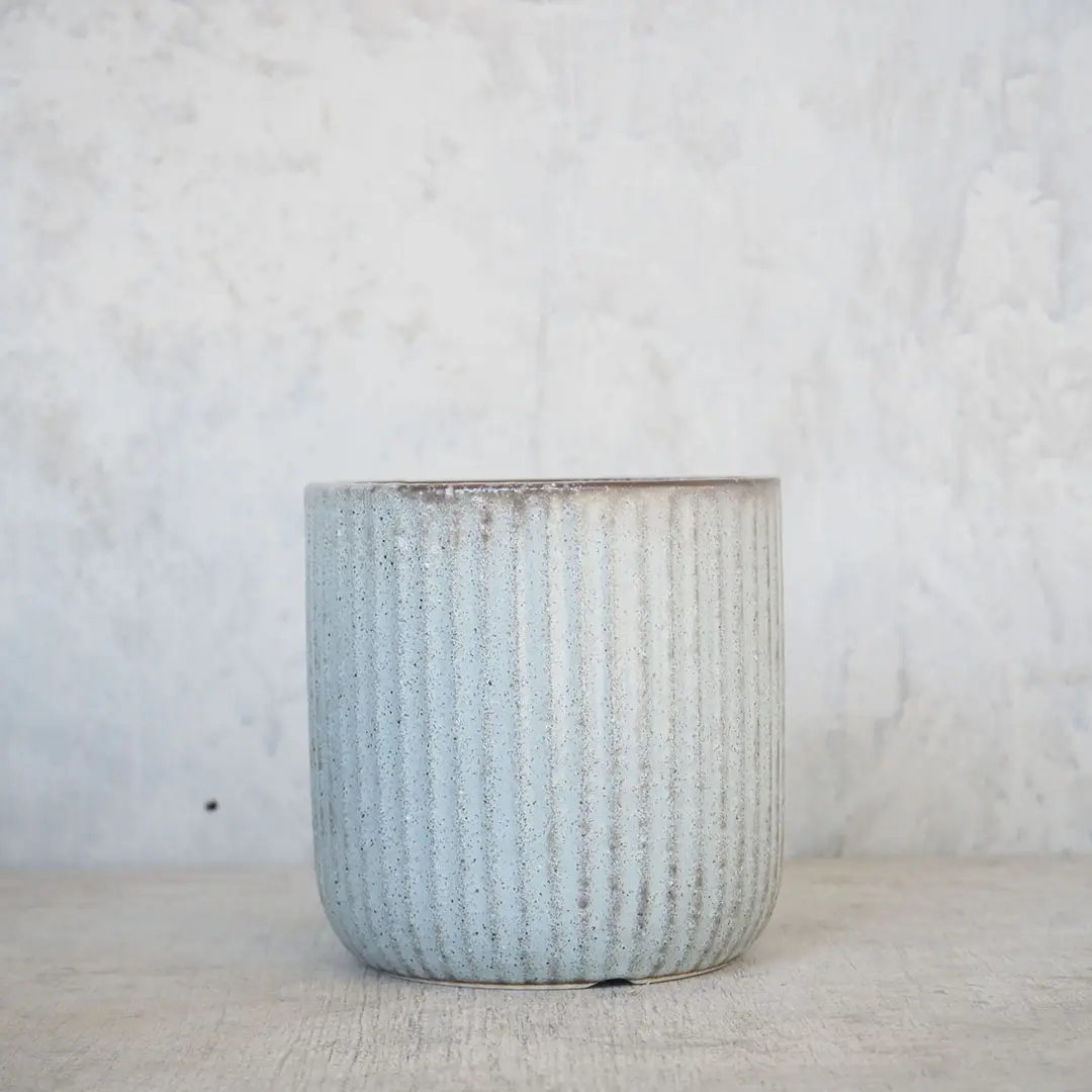 陶器のプランター シンプルなラインデザイン 鉢植え 白